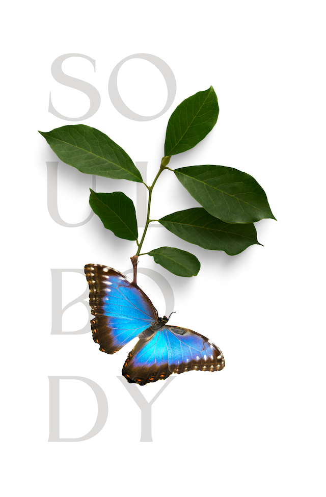 SoulBody Mastery Carolina Buerger